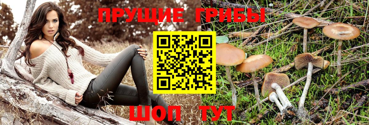 магазин  наркотиков  Вход с VPN  Каспийск  Псилоцибиновые грибы прущие грибы 