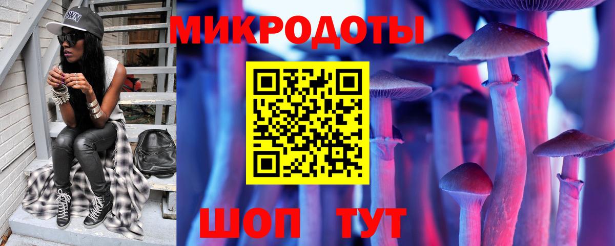Галлюциногенные грибы Psilocybe Каспийск